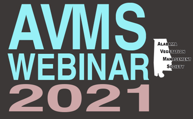 AVMS Webinar 2021